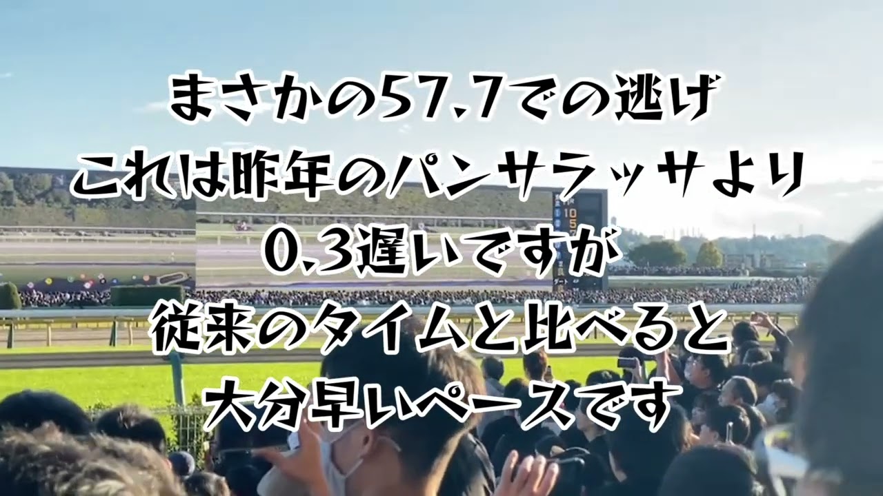 湧き造動画　天皇賞秋2023