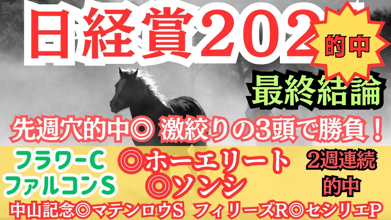 【日経賞2024】先週先々週と穴馬本命的中！買う3頭とは？【最終結論】