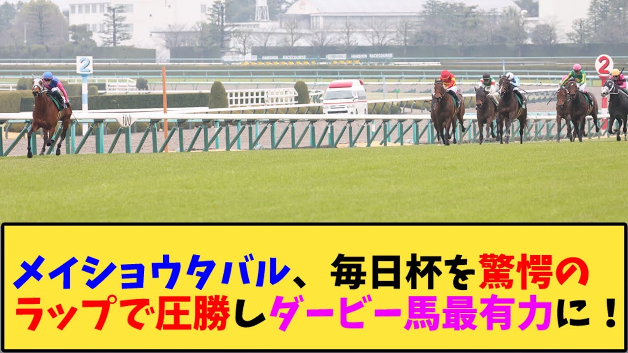 【競馬】｢メイショウタバル、毎日杯を驚愕のラップで圧勝しダービー馬最有力に！」に対する反応【反応集】