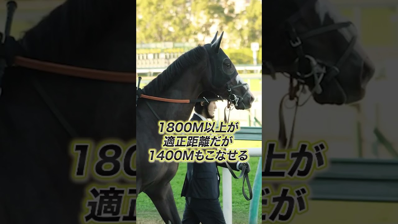 NHKマイルのステップ台に利用　♯shorts