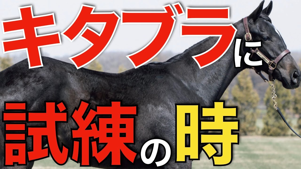 キタサンブラック産駒、桜花賞・皐月賞不在の真相とは？
