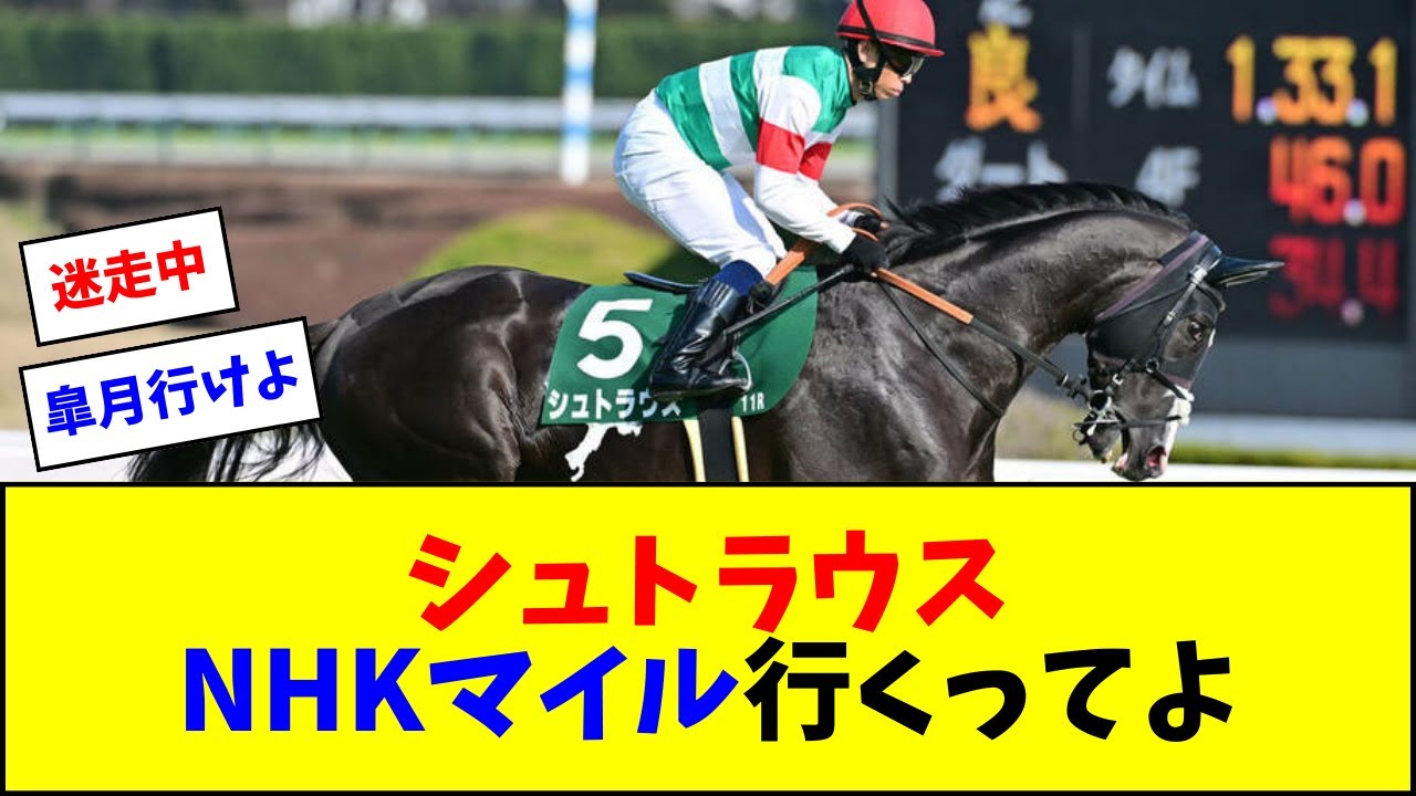 シュトラウス、NHKマイル行くってよ【反応集】