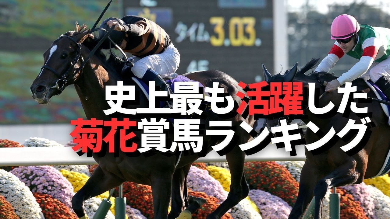 菊花賞馬の活躍ランキングBEST5