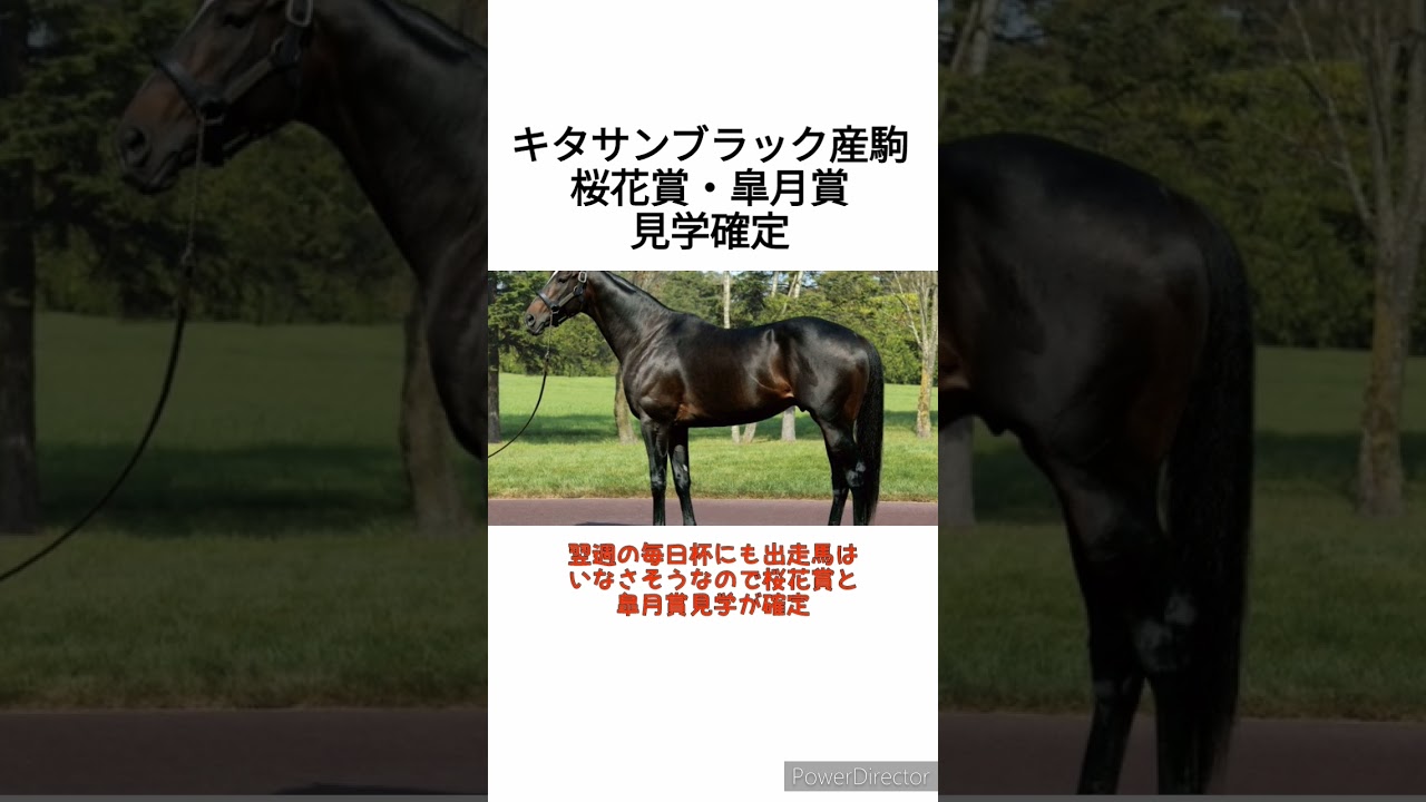 キタサンブラック産駒が桜花賞・皐月賞見学確定な件　 #競馬