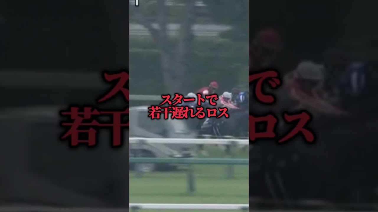 【競馬予想】高松宮記念で激熱な人気馬紹介#shorts#競馬#競馬予想#高松宮記念#ナムラクレア