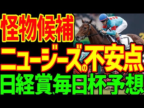 【ニュージーズの不安点】戦国クラシック路線のダービ候補・ニュージーズの不安な点とは？浜中俊とボッケリーニがとりあえず手薄な重賞を掻っ攫う？2024年日経賞、毎日杯動画【競馬ゆっくり】【私の競馬論】