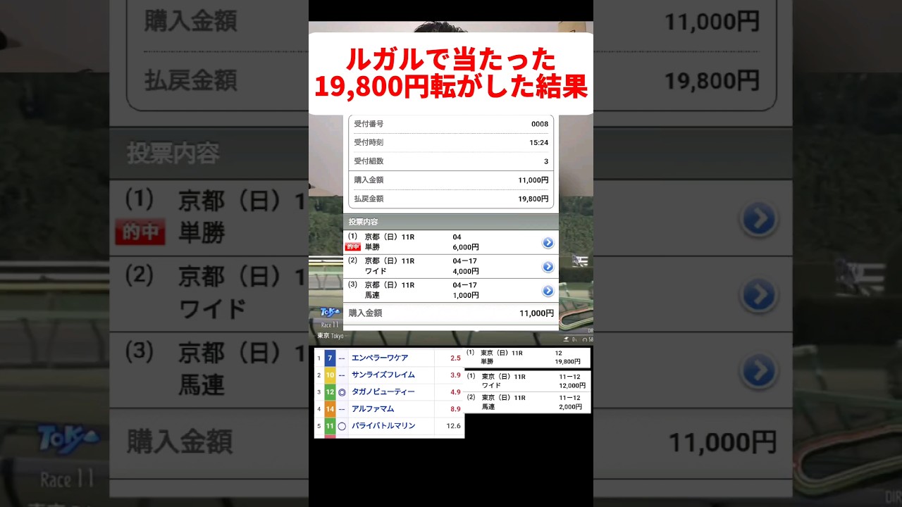 【競馬実践】競馬で3万超えの勝負した結果…#shorts#競馬#根岸ステークス#タガノビューティー