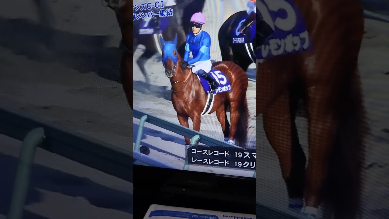 レモンポップ&セラフィックコール＠チャンピオンズカップ2023