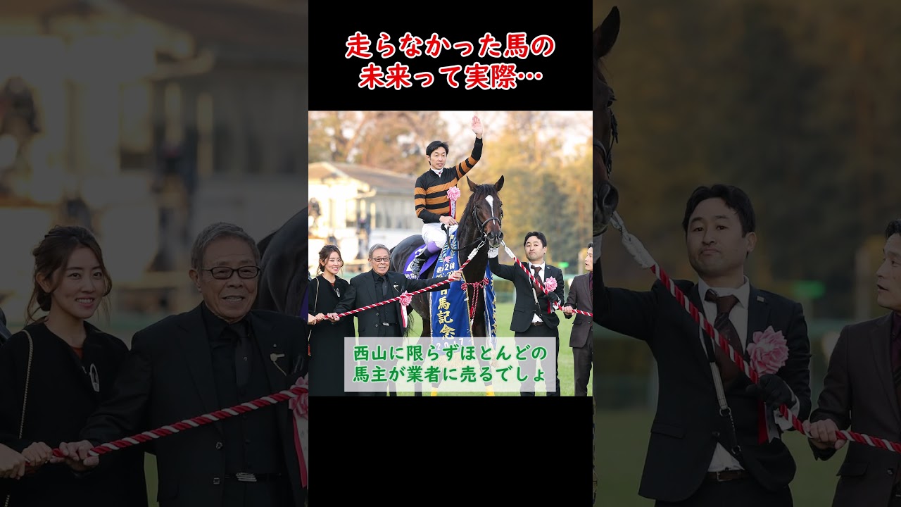 【競馬】走れなかった馬って馬主はどうするの？