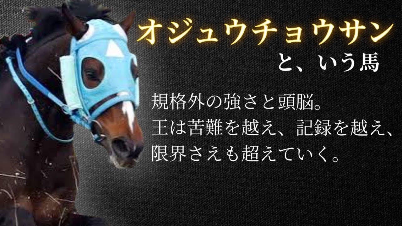 【絶対王者】オジュウチョウサン🏇