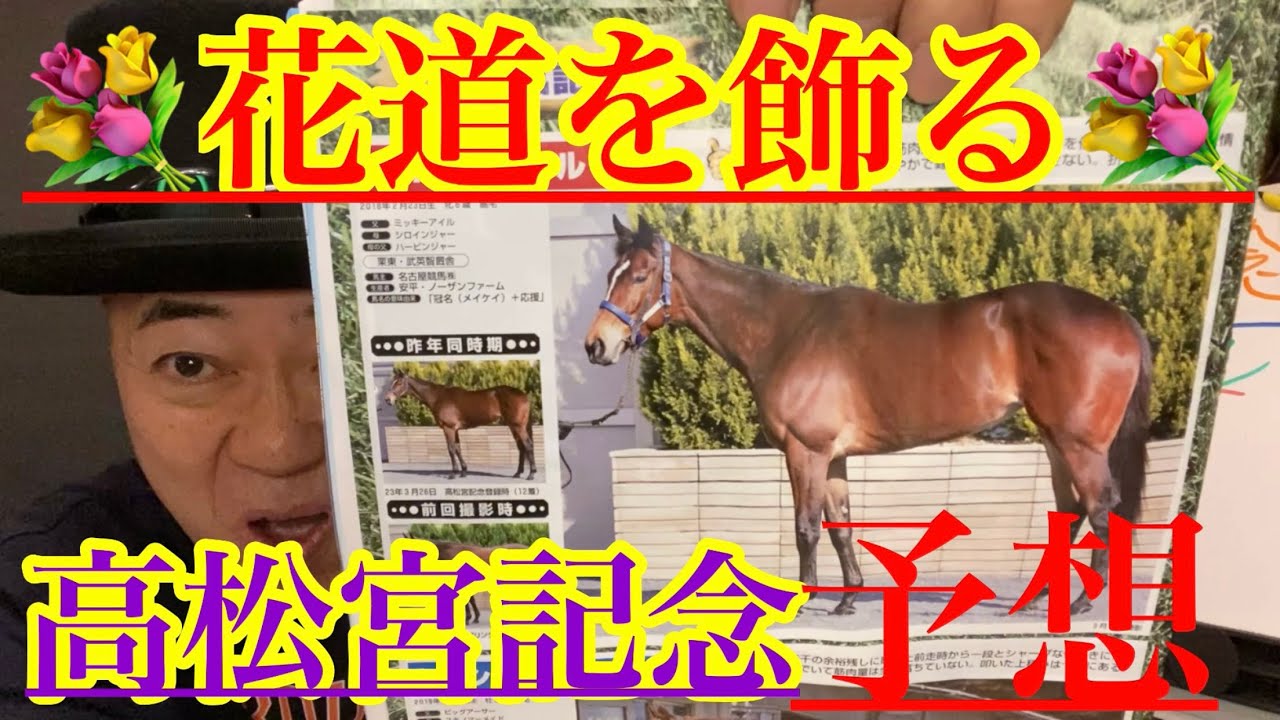 【Friday KEIBA予想】３着までなら全馬あり得る‼︎この馬で馬単・ワイディ〜勝負です‼︎