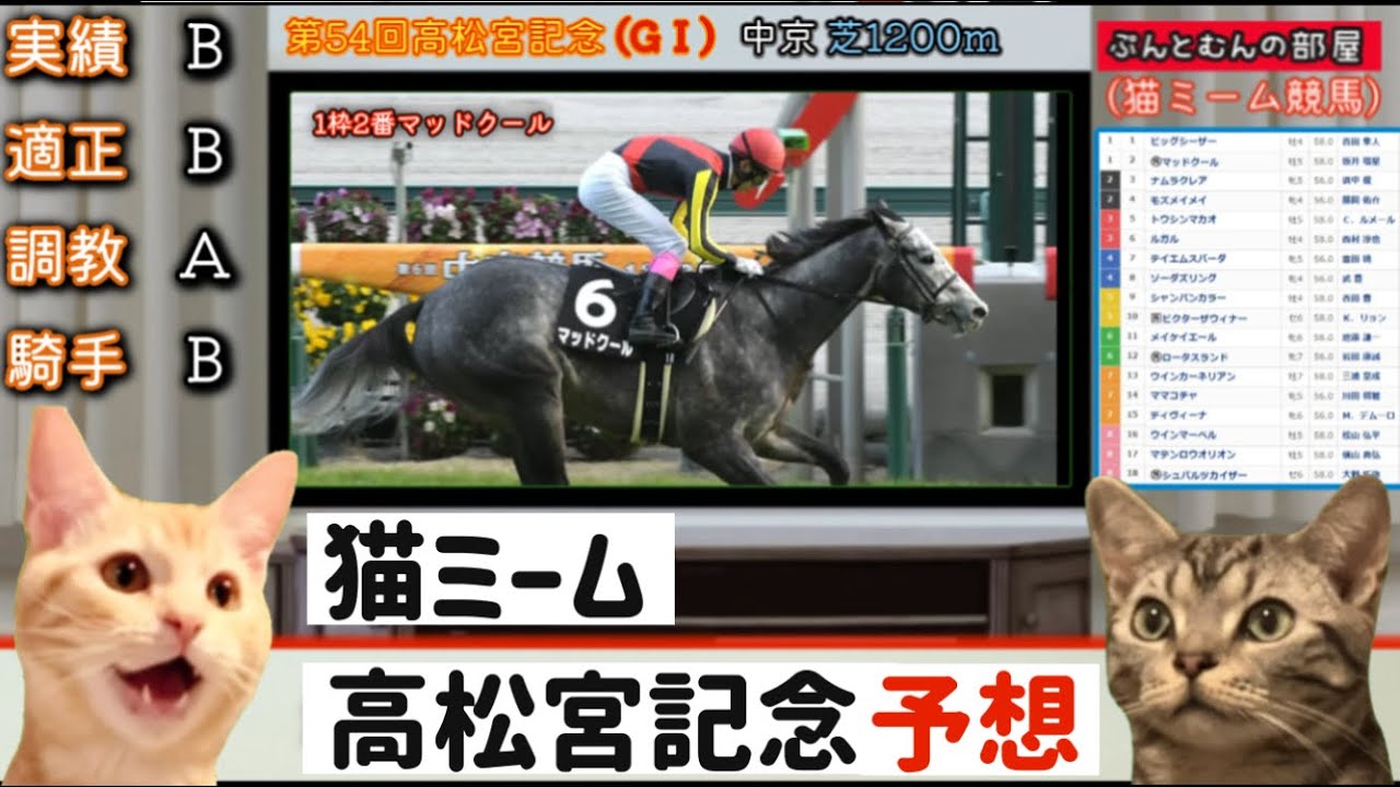【猫ミーム競馬予想】高松宮記念2024を予想した話
