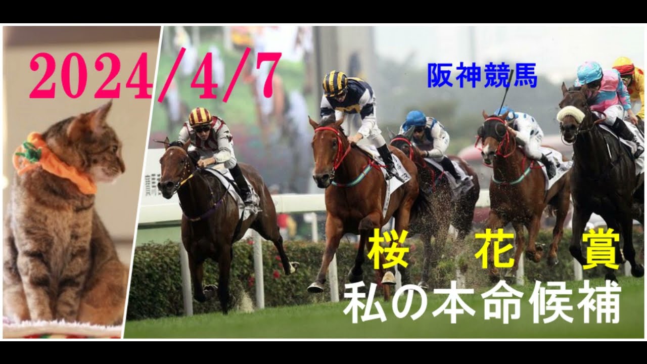 2024/4/7　阪神競馬　桜花賞（ＧⅠ）私の本命候補