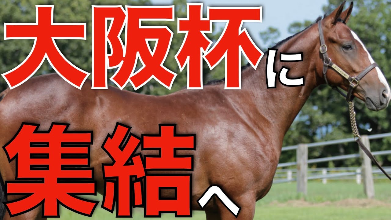 大阪杯が予想を超える戦いに！4歳世代、ここに集結し勝負をかける。