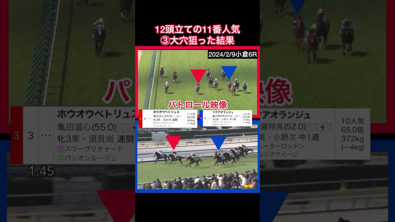 【2024.2.9】小倉6R12頭立て11人気と10人気狙った結果！？#shorts #競馬予想 #京都記念