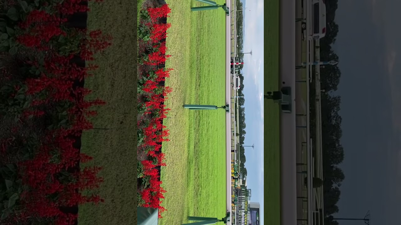 2023年、秋華賞(GI)本馬場入場