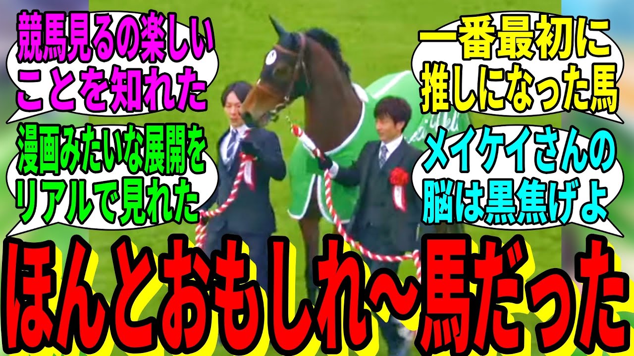 【競馬の反応集】「お前らメイケイエールのこと好きすぎだろ」に対する視聴者の反応集