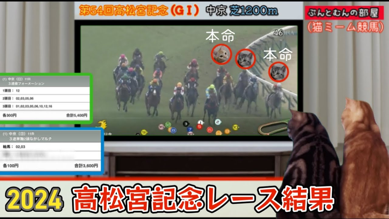 2024年高松宮記念(マッドクール)レース結果動画【猫ミーム競馬予想】