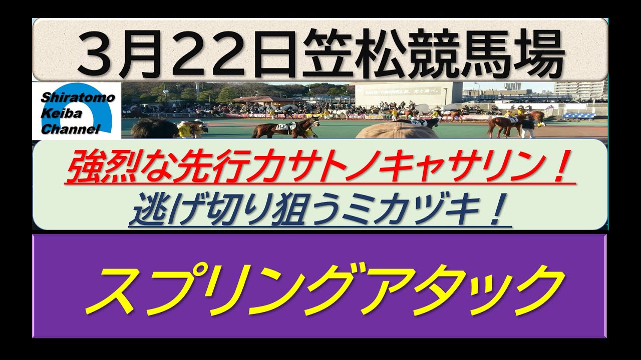 【競馬予想】スプリングアタック！～２０２４年３月２２日 笠松競馬場 ：３－４３