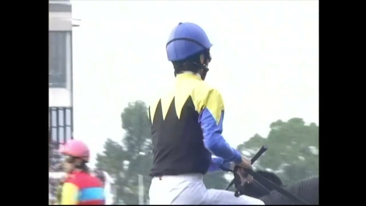 ディープインパクト 菊花賞 無敗の三冠制覇