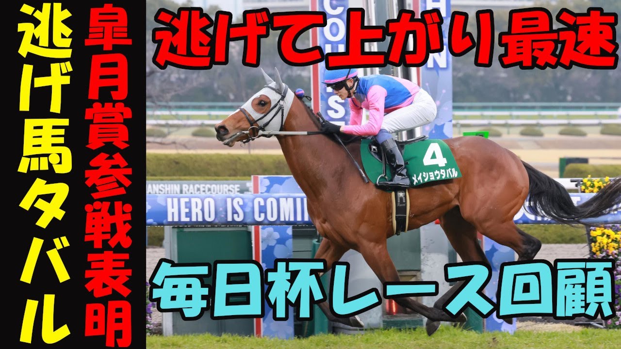 【毎日杯2024レース回顧】メイショウタバル皐月賞参戦！上がり最速で逃げ切ったが本当に強いのか⁉毎日杯を回顧しながら今年の3歳クラシックを大予想！今回は皐月賞編➁！馬券センス０男の悲痛な嘆き