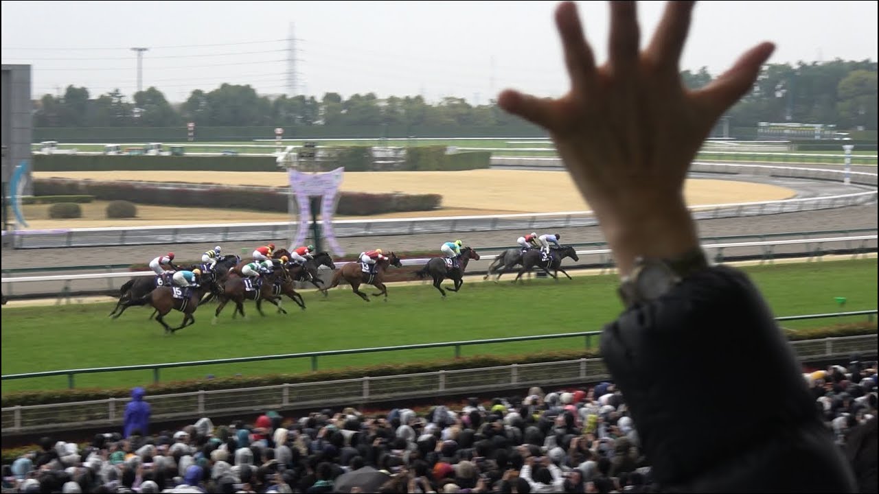 【大歓声】高松宮記念2024 マッドクール 坂井瑠星【現地映像】