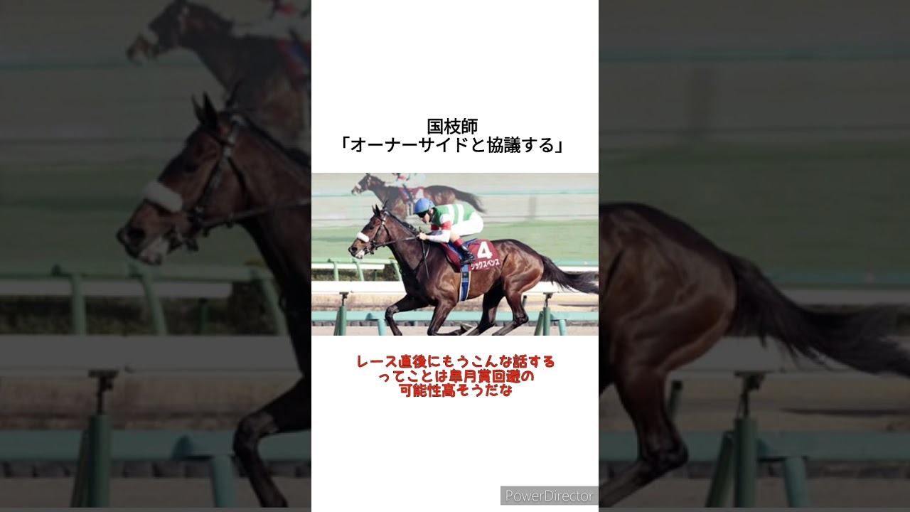 シックスペンス、皐月賞回避も？国枝師「オーナーサイドと協議する」　 #競馬