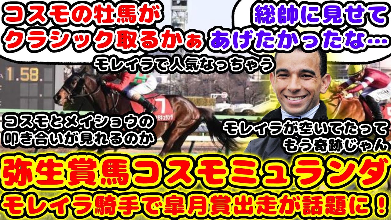 【競馬】コスモキュランダ 皐月賞はモレイラ騎手鞍上で出走が話題に！【競馬の反応集】