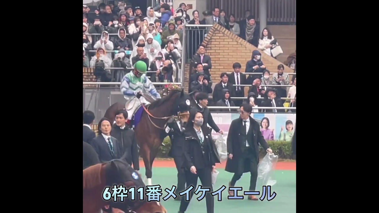 #高松宮記念2024 #スプリンターズs  #セントウルステークス #メイケイエール #馬　#スプリンターズステークス # パドック　#競馬 #短距離 #引退馬  #引退