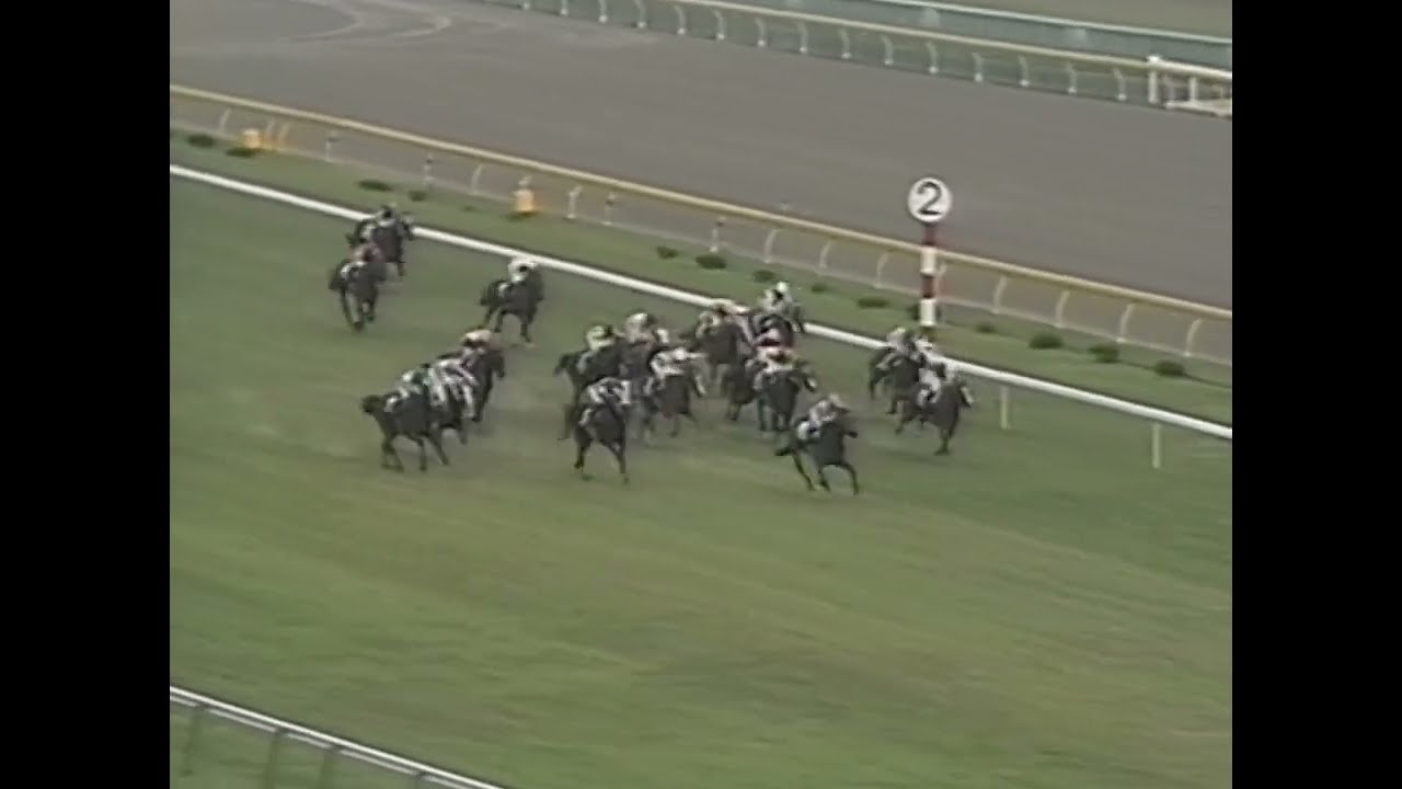 ヤマニンゼファー 1992年 第42回安田記念(GI) (優勝馬：ヤマニンゼファー)(実況：ラジオたんぱ)