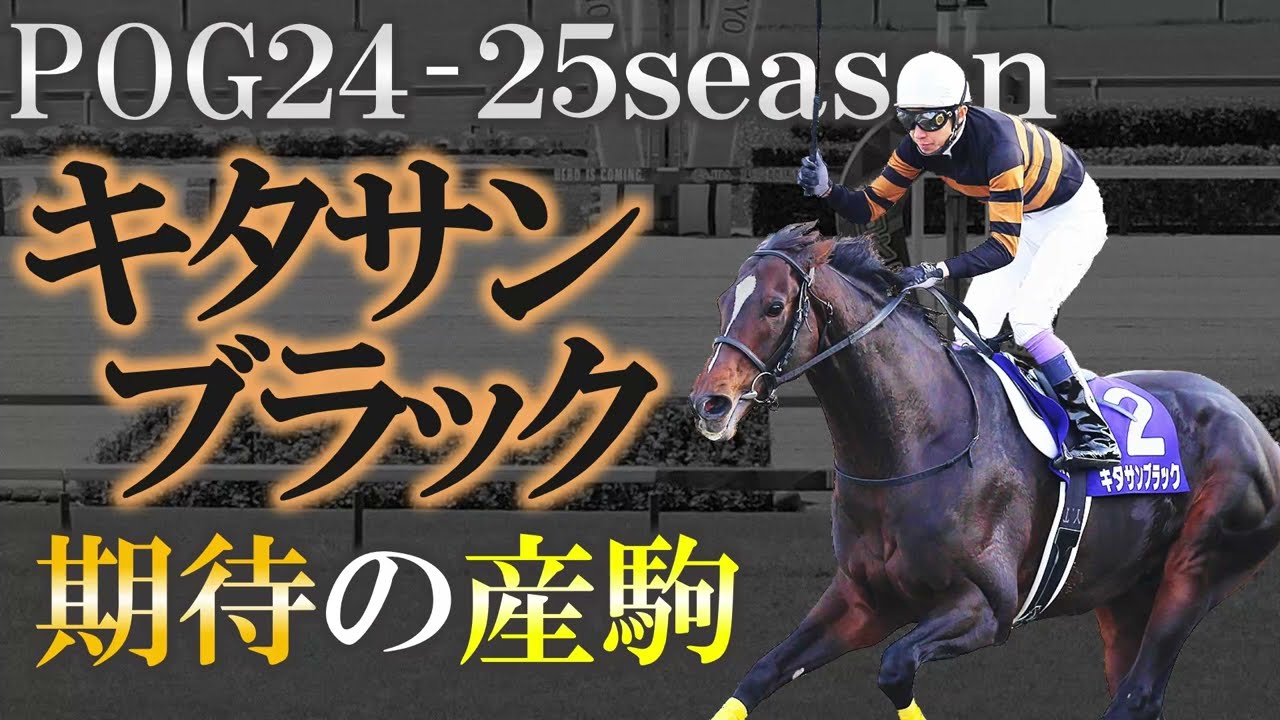 【2歳馬】怪物輩出！キタサンブラック 期待の産駒を10頭紹介します！【pog24-25】【新種牡馬】