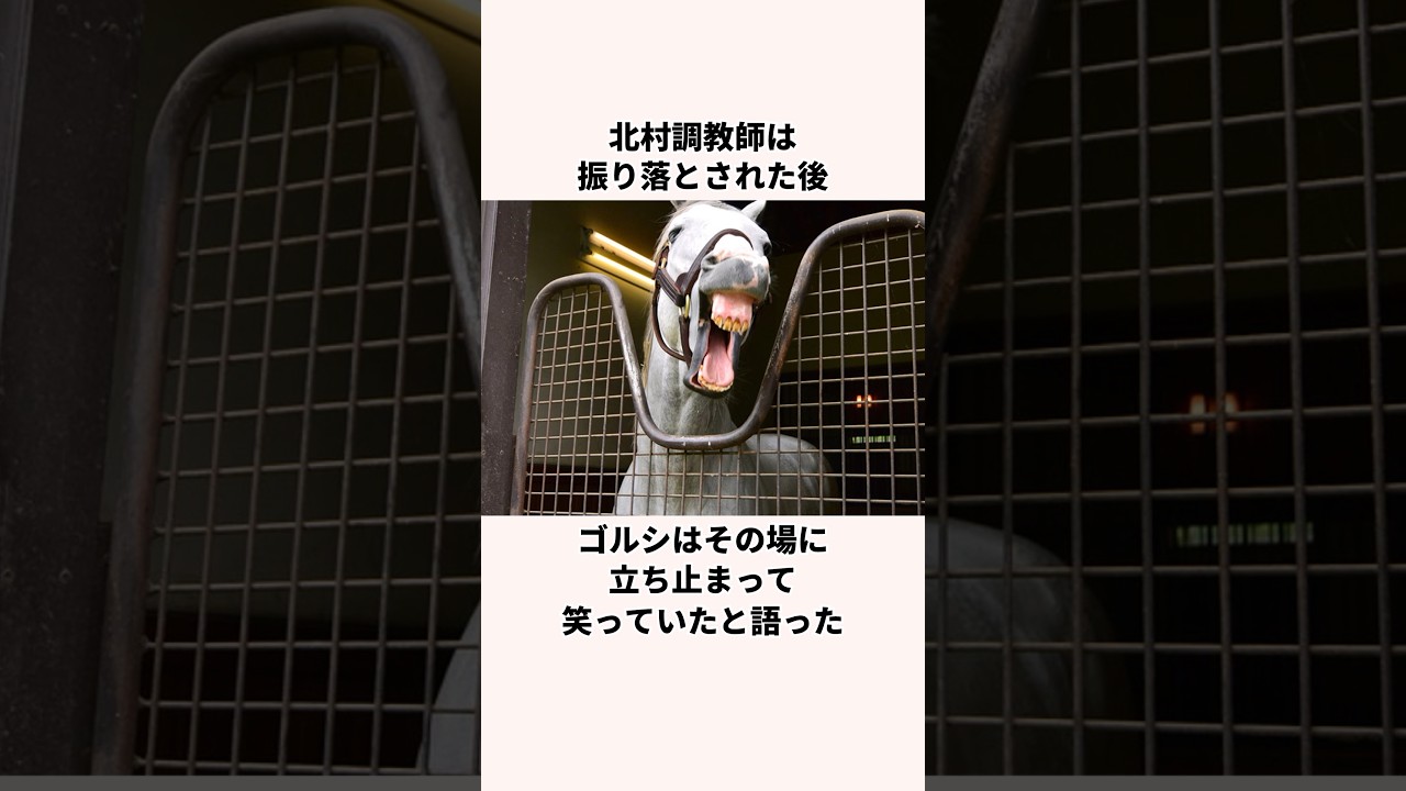 「競馬界の悪魔」ゴールドシップについての雑学