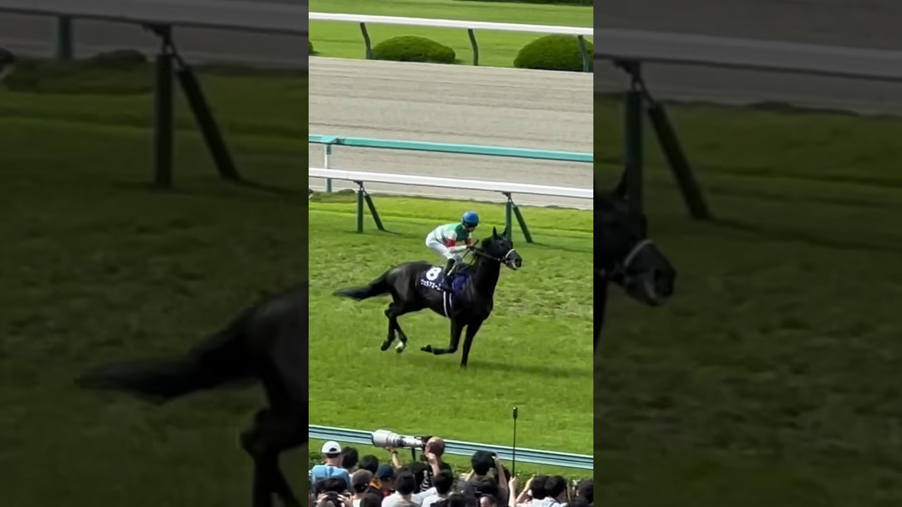 【競馬】宝塚記念 松山弘平 ⑧ヴェラアズール 返し馬