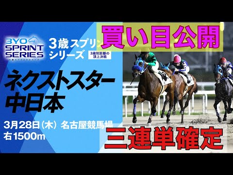 ネクストスター中日本【競馬予想】