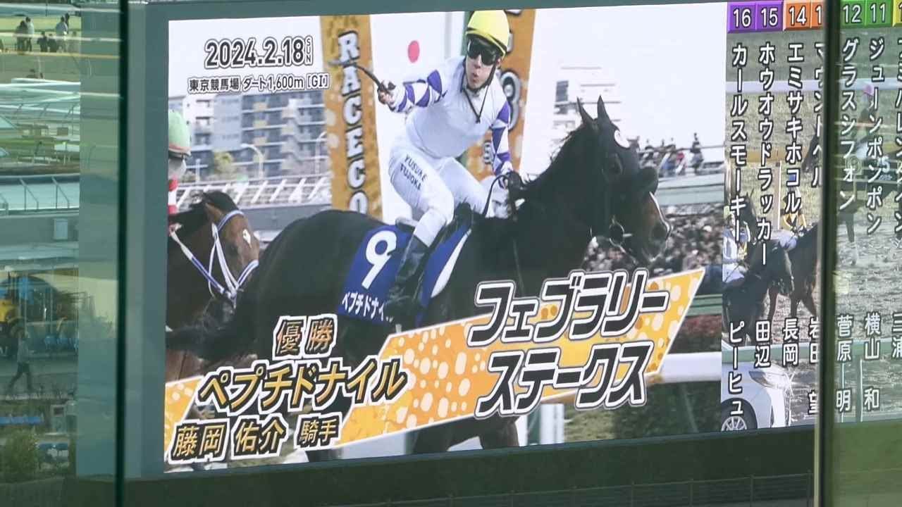 2024フェブラリーステークスを現地で見た！　上位不在の混戦で一番人気は４歳のオメガギネス、、結果は大波乱！！　恒例の最終レースチャレンジもあります！