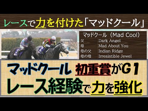 【一口馬主】レース経験で力強化！「マッドクール」重賞の壁に跳ね返されつつ力を付けて掴んだ初重賞でのG1勝利☆