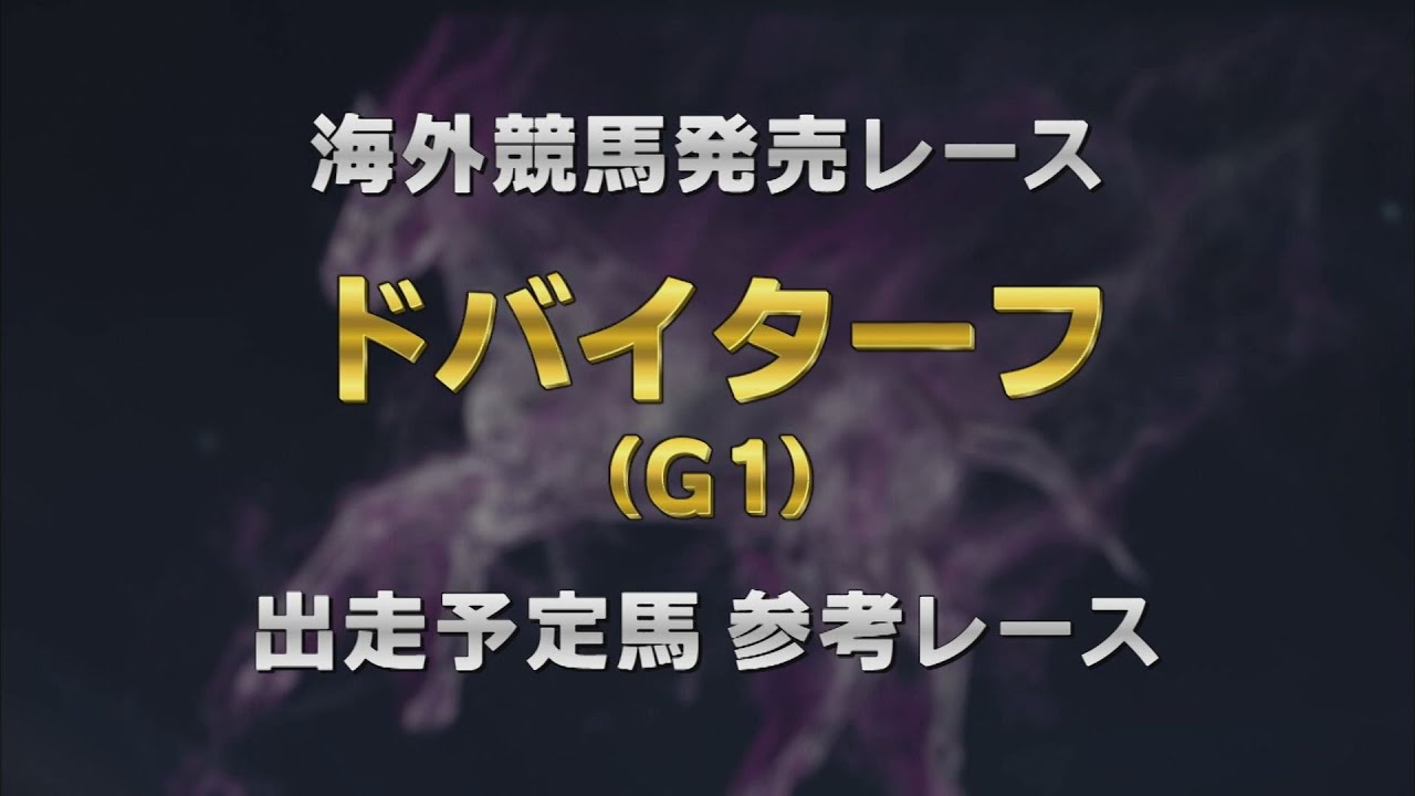 【参考レース】2024年 ドバイターフ｜JRA公式