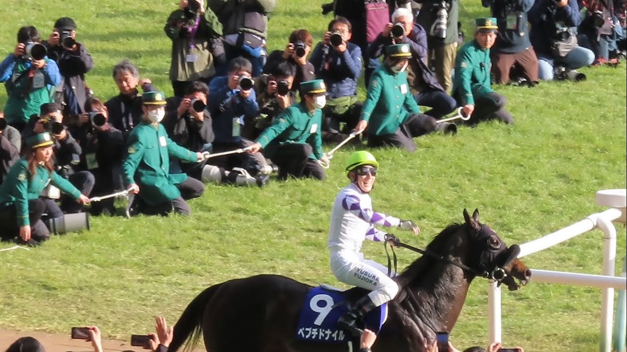 【現地】2024/2/18 G1 フェブラリーステークス ペプチドナイル 藤岡佑介 【東京競馬場】