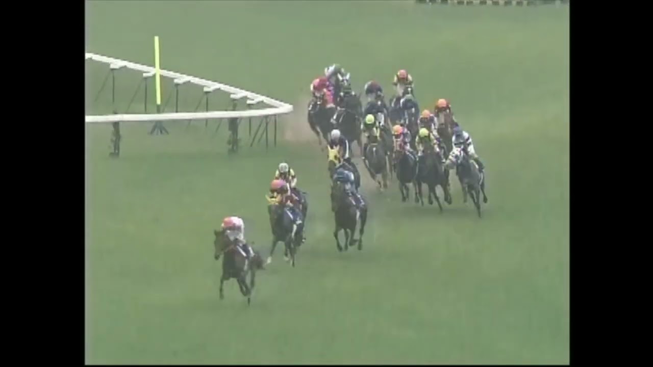 天皇賞(春) 2005年