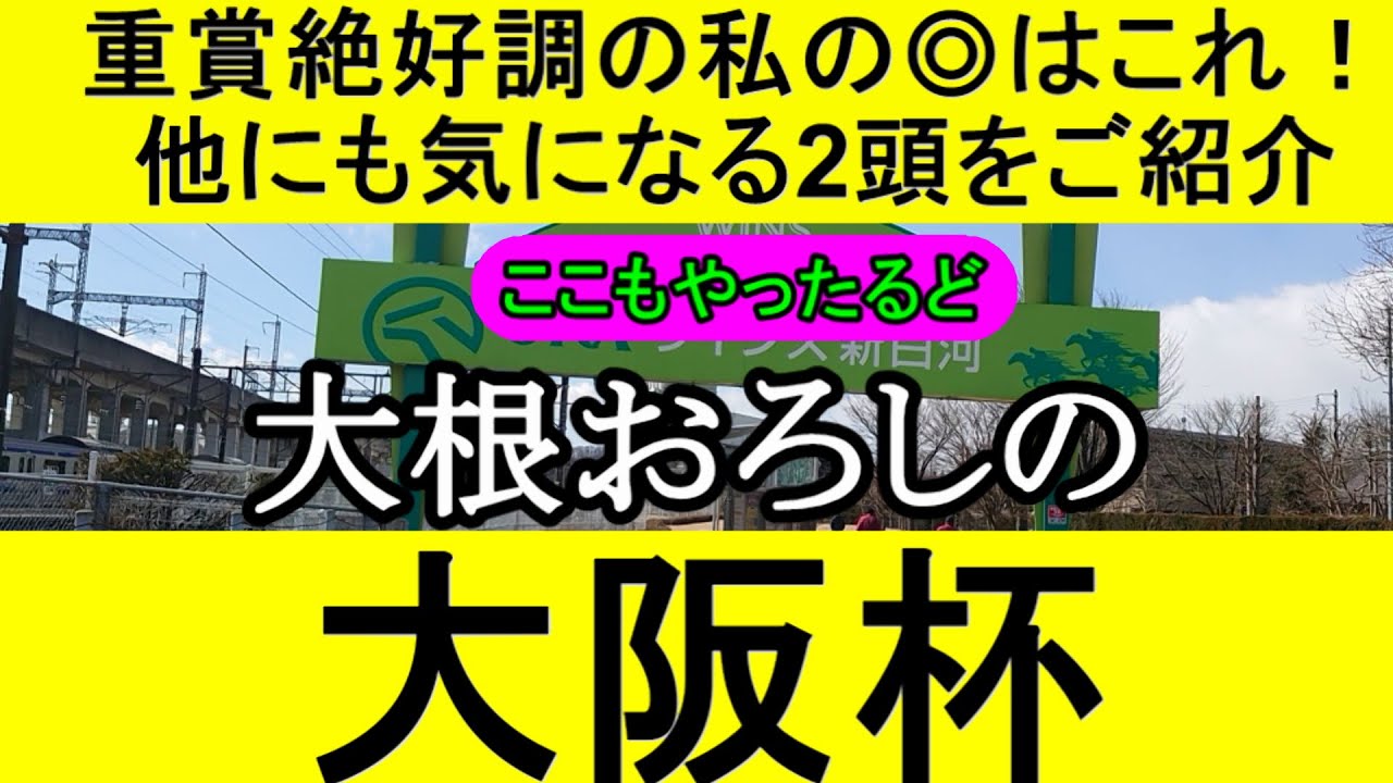 大阪杯2024のデータから導き出した最終予想【競馬予想】
