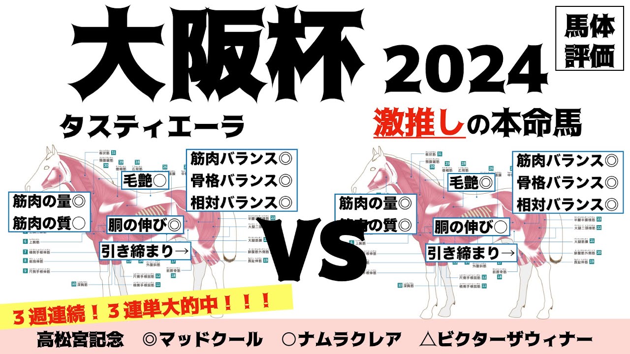 【大阪杯2024】大好きタスティエーラ！！けど…あの復活馬体が気になる…【馬体評価】