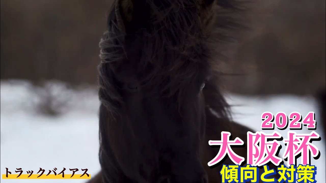 大阪杯2024 | 阪神競馬場の馬場