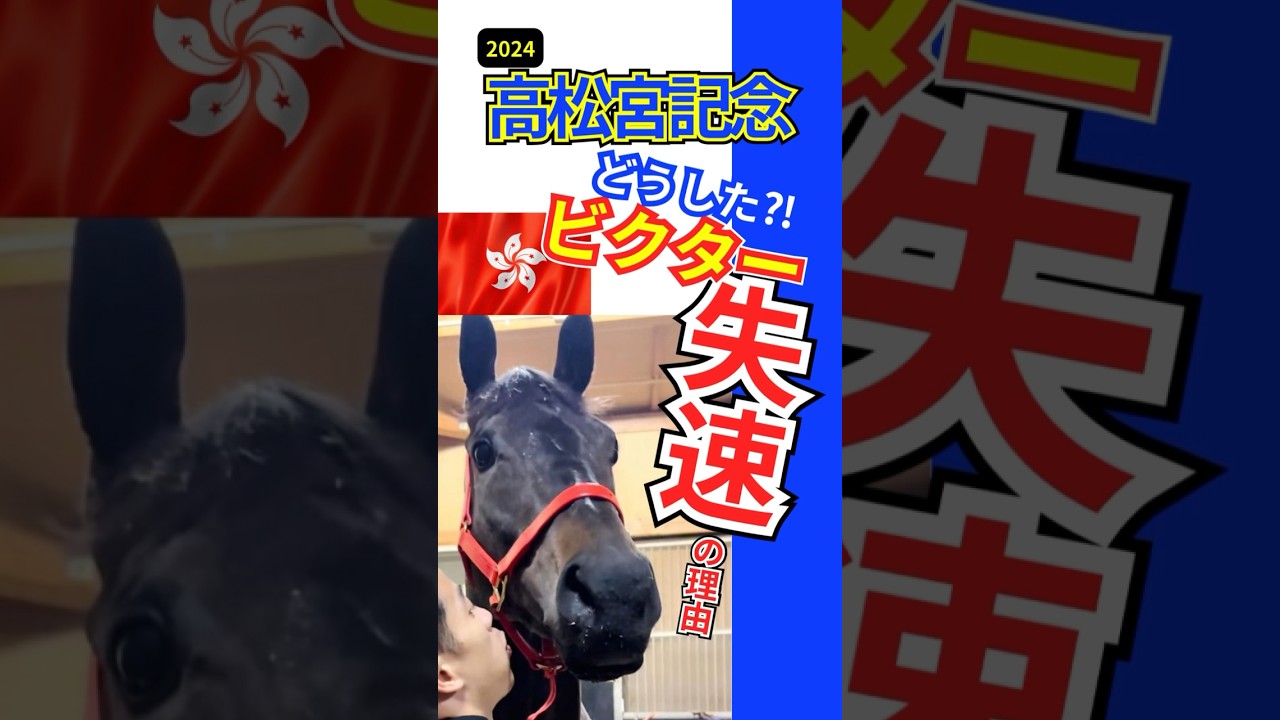 【競馬予想】2024高松宮記念 ビクターザウィナーの真実　#shorts #競馬　#高松宮記念2024