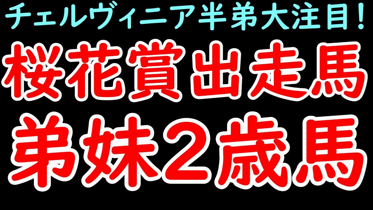 桜花賞2024出走馬の弟や妹となる2歳馬10頭！チェルヴィニアの弟は早期デビュー濃厚で大注目か！？【POG24-25】