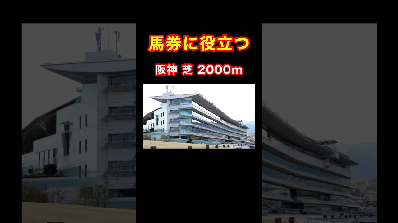 【馬券に役立つ阪神 芝 2000m】 #競馬 #大阪杯 #阪神競馬場