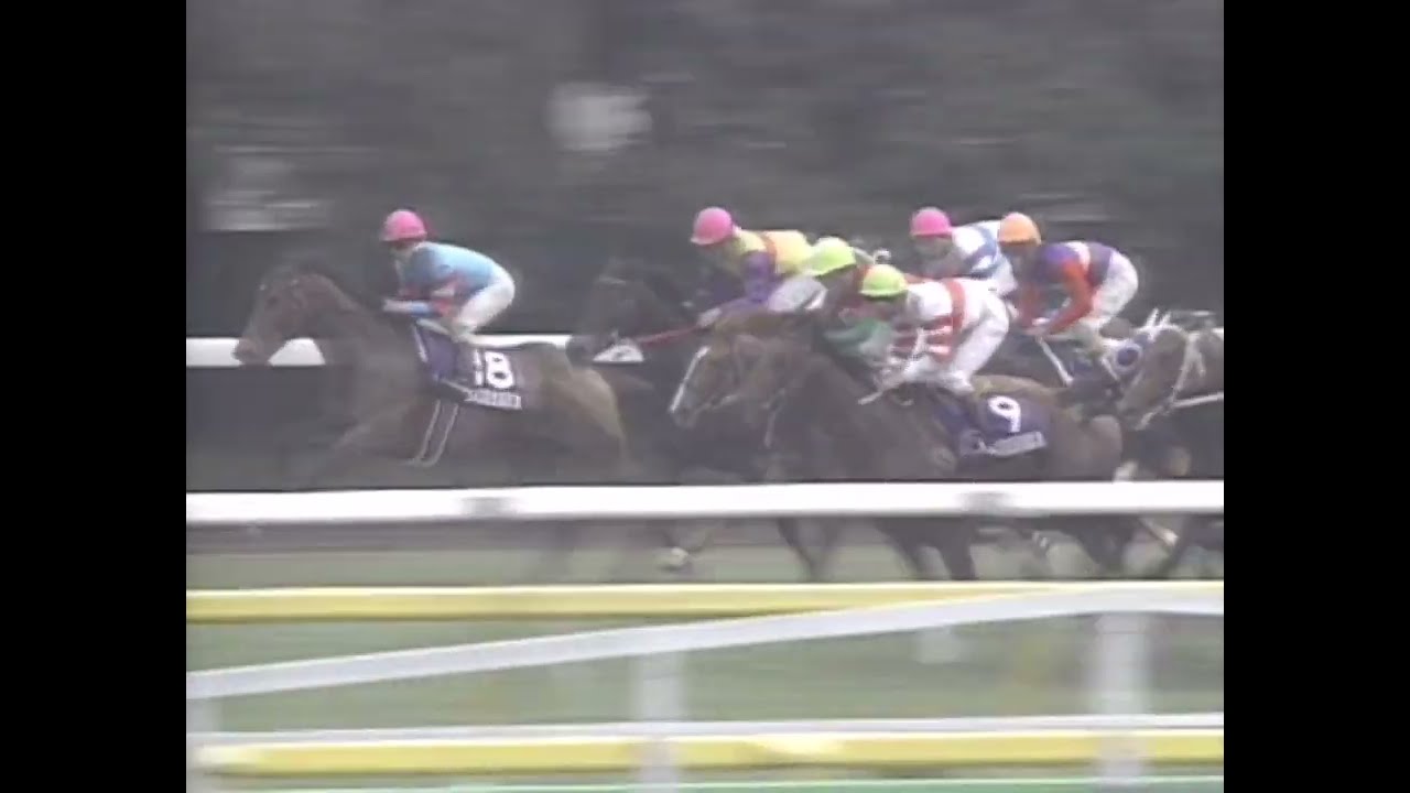 ヤマニンゼファー 1992年 第42回安田記念(GI) (優勝馬：ヤマニンゼファー)