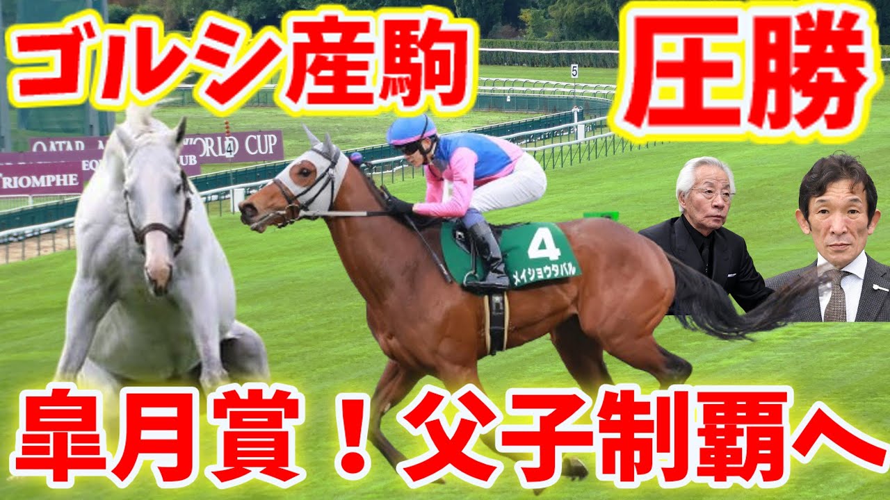 【競馬の反応集】圧勝！ゴールドシップ産駒メイショウタバル！毎日杯を制し皐月賞へ駒を進める！に対する競馬ファンの反応集