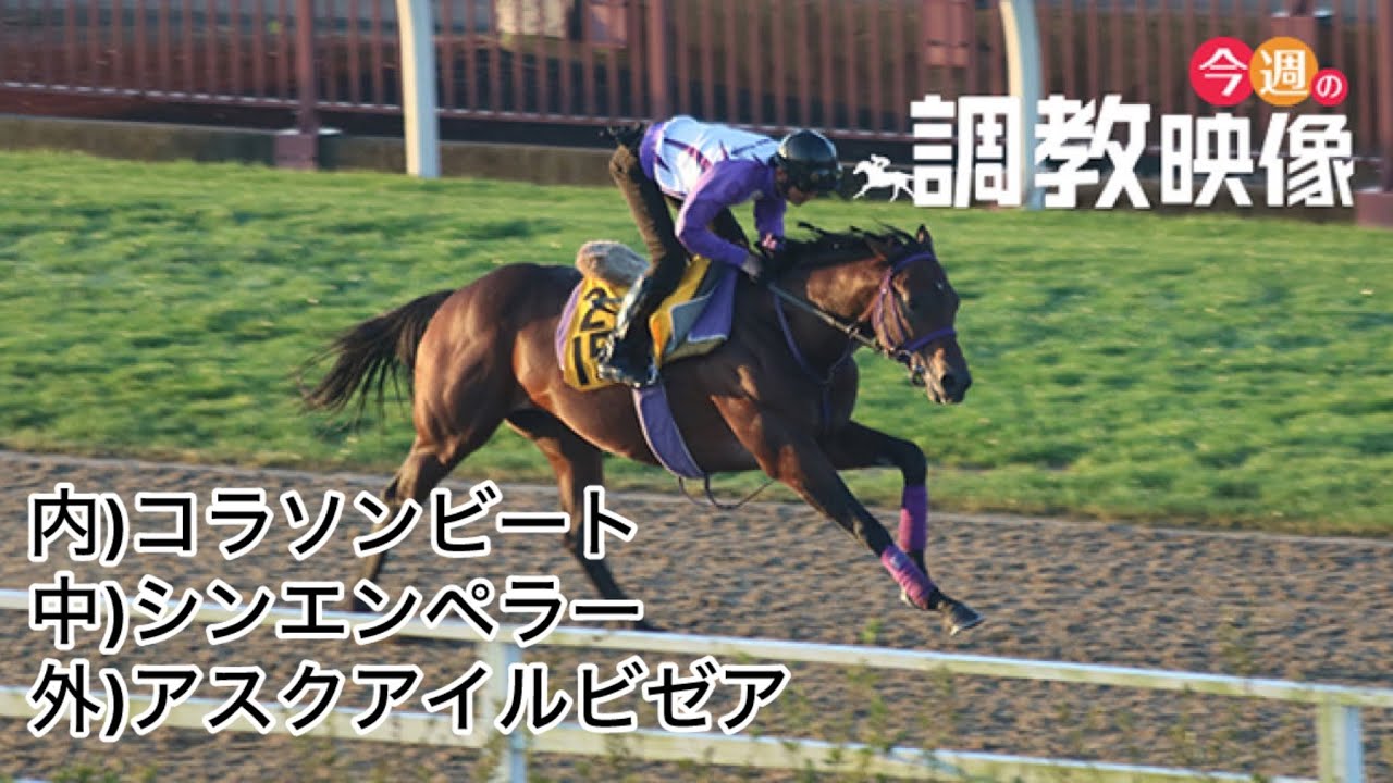 【F馬調教】シンエンペラー 皐月賞 2週間前追い切り(内コラソンビート、外アスクアイルビゼア)