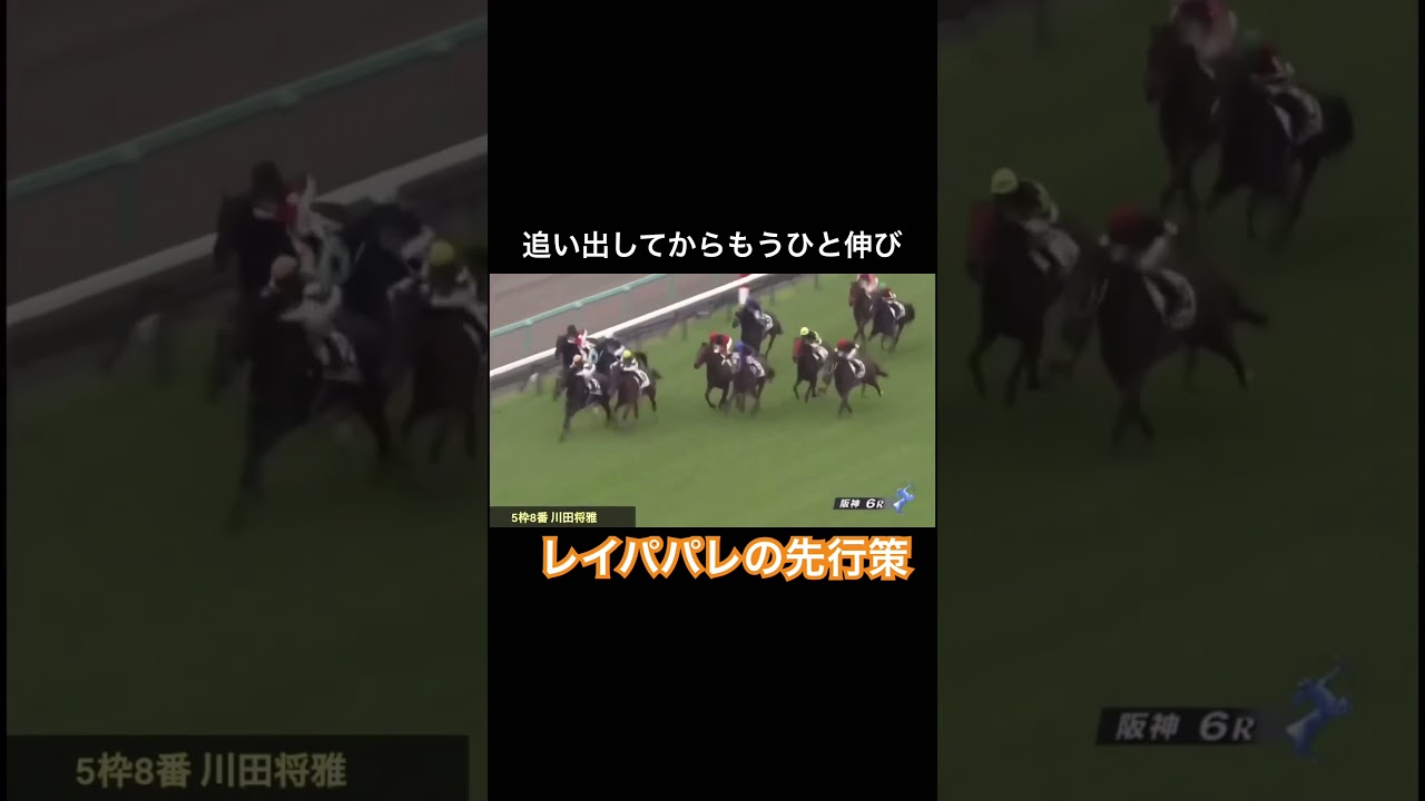 【先行策】レイパパレが強さ示す