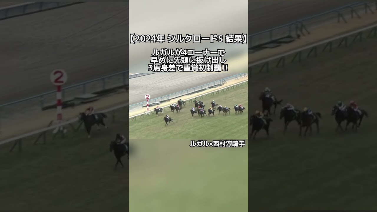 【競馬】2024年 シルクロードS 結果#競馬 #シルクロードS #根岸s #ルガル #強すぎる #おすすめ
